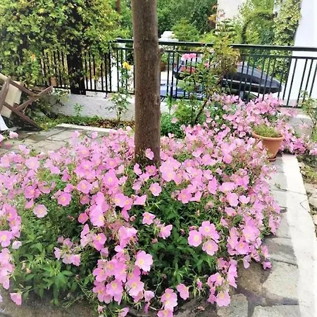 Maria's Traditional House Hébergement de vacances